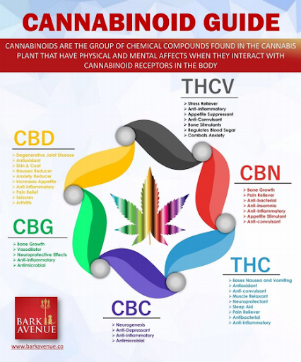 Cannabinoid CBD Breakdown