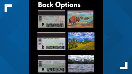 colorado license back options