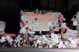 Caylee Anthony Gone Missing