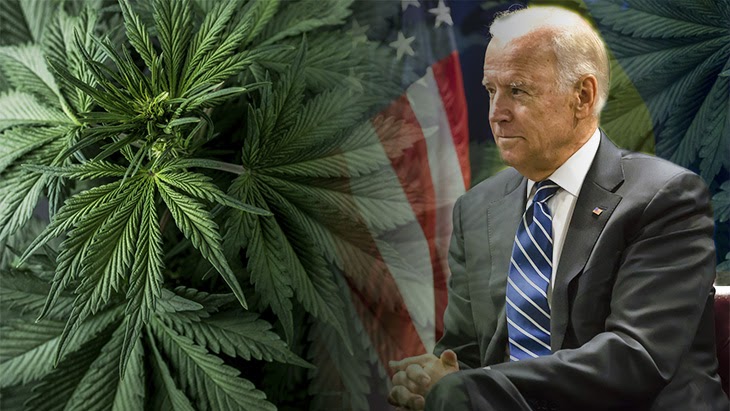 bidens view on cannabis